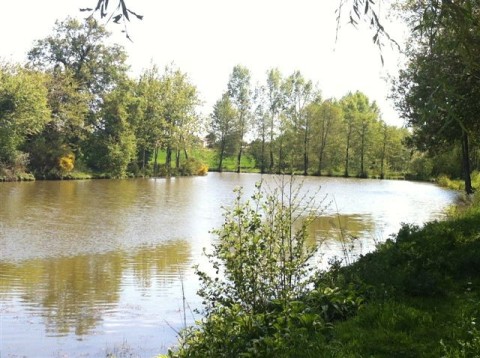 Etang en vente Vendee La Roche sur Yon Bournezeau Chantonnay Mareuil Etang a vendre par Retz Immobilier Etang poissonneux d'un hectare Vendee Loire Atlantique Nantes Pornic 