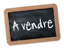 propriete a vendre, vente propriete, maison hectare, coueron, sautron, saint etienne montluc, loire atlantique, 44, propriete equestre, a vendre, vente, piscine, hectare, longere, pays loire, 