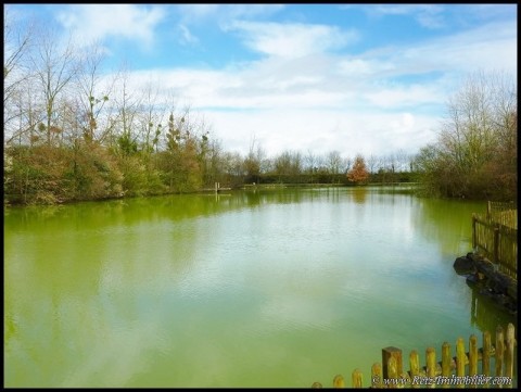 etang a vendre vendee 85 loire atlantique 44 forêt bois domaine a vendre vente peche chasse nature propriete lac pays loire atlantique retz nantes pornic la baule la roche yon les sables olonne french