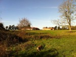 french vendean homes houses properties for sale vendee france loire atlantic britain real estate agency rural exclusive luxury equestrian land area hectarage distinction exclusivity property estates