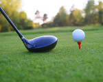 french vendean homes houses properties for sale vendee france loire atlantic britain real estate agency rural exclusive luxury golf pool tennis sea beach ocean gite hectarage distinction exclusivity