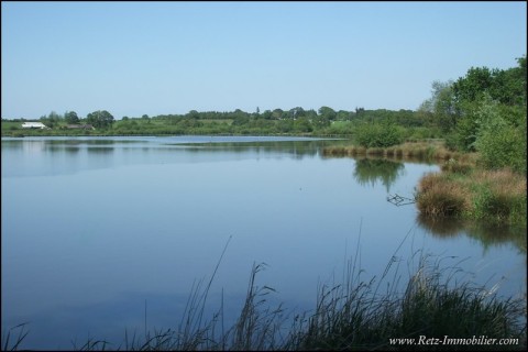 Vente Bois Etang Pecherie Chasse Domaine a vendre territoire peche lac hectare Nantes Vannes Rennes 44 35 56 Pays Loire Atlantique Ile Vilaine Morbihan terrain agricole ferme a renover propriete rural