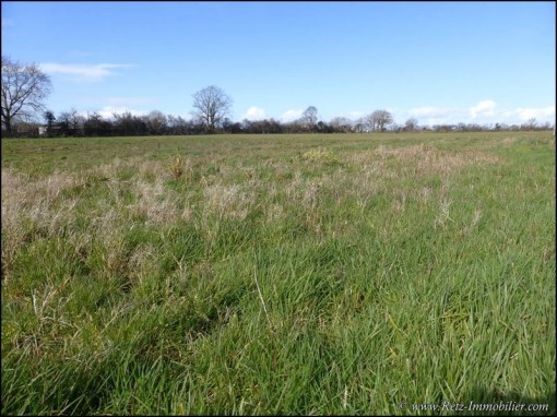 TAB a vendre, vente terrain a batir, terrain constructible, achat TAB, achat terrain constructible, grand terrain à vendre Pornic, St Pere en Retz, constructeur, agence immobiliere 44210 44320 44