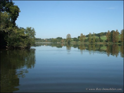 etang a vendre, domaine chasse a vendre, vente etang peche, etang loisir a vendre, hectare, maison etang a vendre, lac a   vendre, chasse, etang, pond for sale, real estate agency, france, loire, brit