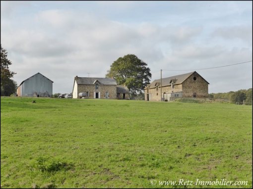 Vente Propriete a renover, corps de ferme a vendre, a renover, hectare, calme, farm to renovate for sale, french property for sale, propriete equestre, loire atlantique, bretagne, vannes, nantes, 44 5