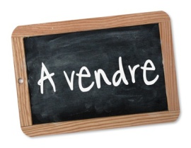 Maison contemporaine a vendre, ultra contemporaine, loft a vendre, maison moderne a vendre, grande maison a vendre, maison piscine, maison a vendre noirmoutier, belle demeure, maison charme, luxe 85