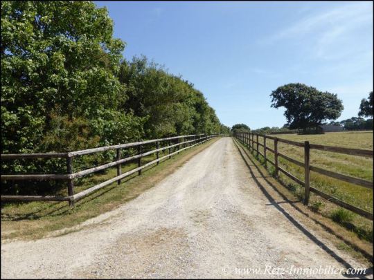propriete equestre, haras, elevage, centre equestre, a vendre, vente, achat, immobilier, pays loire atlantique, 44, nantes, la baule, bretagne, morbihan, vannes, 56, french properties for sale, equest