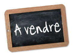 a vendre, propriete, maison, etang, terrain, loisir, pêche, gite, b&b, b and b, chambre d'hote, grange, hectare, achat, camping, prl, immobilier, french properties for sale, vendee, 85, france, 44