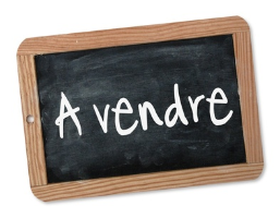 propriete, ferme, propriete equestre, propriete rurale, a vendre, vente, achat, terre agricole, haras, élevage, salle reception, maison, dependance, nantes, ancenis, angers, 44, 49, grande propriete,