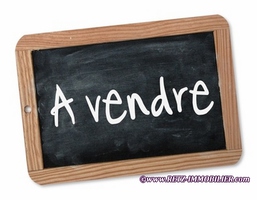 maison, propriete, a vendre, 44210, 44320, 44250, tennis, etang, parc, jardin, calme, plage, st brevin, st pere en retz, pays retz, pornic, arthon, maison campagne, hectare, immobilier, french propert