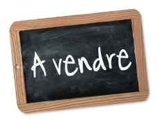 maison, propriete, villa, vente, a vendre, immobilier, maison piscine, villa piscine, maison golf, golf la bretesche, 44780, missillac, 44160, pontchateau, garage, dependance, terrain a batir, divisib