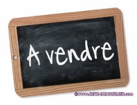 Maison charme, immobilier, caractere, belle demeure, moulin, longere, logis, vendee, 85, mareuil, 85320, lucon, roche sur yon, riviere, piscine, piscine intérieure, piscine chauffe, mill for sale,home