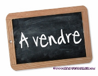 maison bourgeoise, maison ville, centre ville, maison a vendre, a vendre, belle demeure, maison charme, maison chambre hote, saint pere en retz, 44320, st pere en retz, agence immobiliere, st brevin,