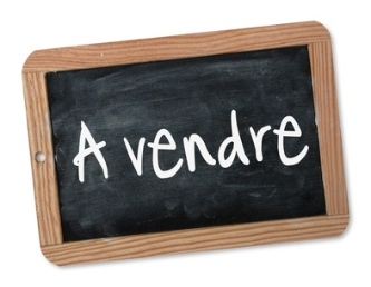 propriete equestre,haras,elevage,chevaux,centre entrainement,ecurie,centre equestre,propriete hectare,propriete rurale,maison hectare,propriete agricole,propriete rurale,a vendre,vente,maison hectare,