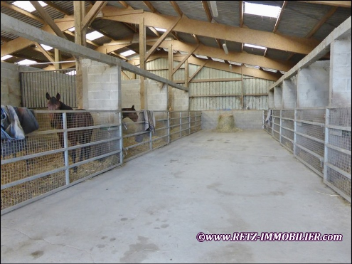 propriete equestre,haras,elevage,chevaux,centre entrainement,ecurie,centre equestre,propriete hectare,propriete rurale,maison hectare,propriete agricole,propriete rurale,a vendre,vente,maison hectare