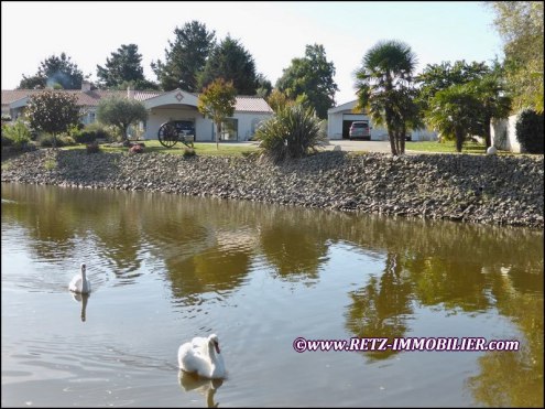maison,plain-pied,contemporaine,propriete,a vendre,vente,achat,garage,dependance,amenageable,potentiel,gite,calme,hectare,etang,agence immobiliere,saint gervais,85230,beauvoir sur mer,challans,la barre de monts,st jean de monts,noirmoutier,vendee,85,frenc
