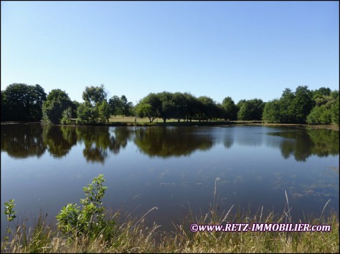 propriete,hectare,maison,grange,a vendre,projet,camping,gite,terrain de loisir,prl,zone loisir,terrain,gite insolite,etang,vendee,roche sur yon,85,puy du fou,la rochelle,17,nantes,44,plage,mer,ocean,pays de loire,for sale,camping for sale,camp site,campgr