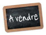 vente,achat,a vendre,maison,hectare,propriete,riviere,vilaine,etang,bois,a vendre,44,loire atlantique,ile et vilaine,35,35600,redon,masserac,langon,guemene,56200,La Gacilly,rochefort terre,56,morbihan,85,vendee,bretagne,pays loire,agence immobiliere,propr