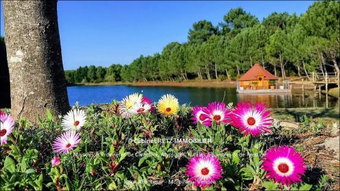 vente, golfe du morbihan, prestige, hectare, etang, propriete, baden, larmor-baden, arradon, immobilier