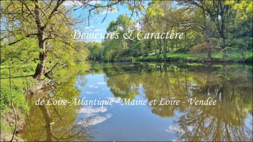 Vente, a vendre, maison, riviere, maison 4 chambres, annexe, gite, studio, maison d’amis, sevre nantaise, acces riviere, peche, mise à l’eau, clisson, boussay, montaigu, vallet, cholet, nantes, la bruffière, gare sncf, loire atlantique, maine et loire, ve