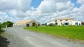 vente, propriete, vendee, challans, a vendre, hectare, gite, maison hectare a vendre, propriete a vendre, vente maison hectare, vente propriete, propriete challans, propriete vendee, 85, longere, hectares, nantes, pornic, pays retz, loire atlantique, 44