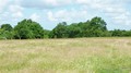 vente, propriete, vendee, challans, a vendre, hectare, gite, maison hectare a vendre, propriete a vendre, vente maison hectare, vente propriete, propriete challans, propriete vendee, 85, longere, hectares, nantes, pornic, pays retz, loire atlantique, 44