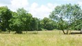 vente, propriete, vendee, challans, a vendre, hectare, gite, maison hectare a vendre, propriete a vendre, vente maison hectare, vente propriete, propriete challans, propriete vendee, 85, longere, hectares, nantes, pornic, pays retz, loire atlantique, 44