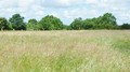 vente, propriete, vendee, challans, a vendre, hectare, gite, maison hectare a vendre, propriete a vendre, vente maison hectare, vente propriete, propriete challans, propriete vendee, 85, longere, hectares, nantes, pornic, pays retz, loire atlantique, 44