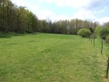 Propriete a vendre Vendee, Vente Propriete Vendee, hotel particulier, chateau, demeure, manoir, maison architecte, villa, hectare, tennis, piscine, vendee, loire atlantique, 44, 85, Pays Loire, Retz, vente, a vendre, achat, Roche Yon, Nantes, immobilier