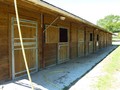propriete equestre, vente, a vendre, loire atlantique, pays loire, haras, ecurie, centre equestre, poney club, 44, la baule, penestin, nantes, herbignac, vente propriete equestre a vendre, haras a vendre, retz, pays, océan atlantique, hectare, boxe, 85 