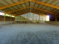 propriete equestre, vente, a vendre, loire atlantique, pays loire, haras, ecurie, centre equestre, poney club, 44, la baule, penestin, nantes, herbignac, vente propriete equestre a vendre, haras a vendre, retz, pays, océan atlantique, hectare, boxe, 85 
