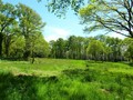 propriete equestre, vente, a vendre, loire atlantique, pays loire, haras, ecurie, centre equestre, poney club, 44, la baule, penestin, nantes, herbignac, vente propriete equestre a vendre, haras a vendre, retz, pays, océan atlantique, hectare, boxe, 85 