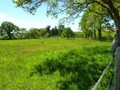 propriete equestre, vente, a vendre, loire atlantique, pays loire, haras, ecurie, centre equestre, poney club, 44, la baule, penestin, nantes, herbignac, vente propriete equestre a vendre, haras a vendre, retz, pays, océan atlantique, hectare, boxe, 85 