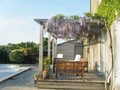 maison piscine vendre st michel chef, maison piscine vendre tharon, vente maison piscine st michel chef   chef, 44730, vente maison piscine tharon, immobilier st michel chef,, immobilier tharon, agence immobiliere, maison ancienne, vendre, vente, ancienne