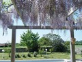 maison piscine vendre st michel chef, maison piscine vendre tharon, vente maison piscine st michel chef   chef, 44730, vente maison piscine tharon, immobilier st michel chef,, immobilier tharon, agence immobiliere, maison ancienne, vendre, vente, ancienne