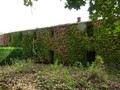 chateau vendre 44 pays loire atlantique 85 vendee manoir chateaux vente, belle demeure, chateau a vendre, maison charme, chateau a renover, renover, propriete caractere, vente chateau, immobilier caractere, retz immobilier, retz, pornic, roche yon, nantes