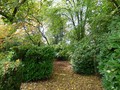 chateau vendre 44 pays loire atlantique 85 vendee manoir chateaux vente, belle demeure, chateau a vendre, maison charme, chateau a renover, renover, propriete caractere, vente chateau, immobilier caractere, retz immobilier, retz, pornic, roche yon, nantes