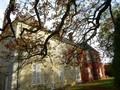 chateau vendre 44 pays loire atlantique 85 vendee manoir chateaux vente, belle demeure, chateau a vendre, maison charme, chateau a renover, renover, propriete caractere, vente chateau, immobilier caractere, retz immobilier, retz, pornic, roche yon, nantes
