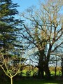 Propriete a vendre pays retz St pere st brevin maison a vendre hectare vente belle demeure de charme loire   atlantique vendee 44 85 projet gite propriete caractere retz immobilier properties for sale france loire vendee Nantes La Baule Pornic St Brevin 
