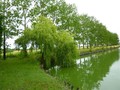 propriete a vendre sud vendee loire atlantique etang piscine tennis golf hectare maison vente propriete equestre 44 85 pays retz loire immobilier belle demeure maison charme caractere ferme moulin longere manoir chateau french real estate france property
