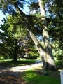 Vente, a vendre, achat, maison, villa, propriete, pornic, 44, loire atlantique, pays retz, agence immobilier pornic, immobilier pornic, villa vendre pornic, vente villa pornic, maison vendre pornic, maison a vendre pornic, villa a vendre pornic, ste marie