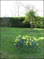 Maison longere propriete a vendre hectare piscine étang pays loire atlantique 44 vendee 85 Roche yon chaize vicomte bournezeau st florent bois vente french properties for sale real estate france belle demeure charme house pool real estate sables olonne  