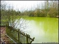 etang a vendre vendee 85 loire atlantique 44 forêt bois domaine a vendre vente peche chasse nature propriete lac pays loire atlantique retz nantes pornic la baule la roche yon les sables olonne french property for sale real estate france west coast manor