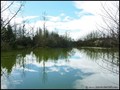 etang a vendre vendee 85 loire atlantique 44 forêt bois domaine a vendre vente peche chasse nature propriete lac pays loire atlantique retz nantes pornic la baule la roche yon les sables olonne french property for sale real estate france west coast manor