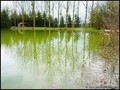 etang a vendre vendee 85 loire atlantique 44 forêt bois domaine a vendre vente peche chasse nature propriete lac pays loire atlantique retz nantes pornic la baule la roche yon les sables olonne french property for sale real estate france west coast manor