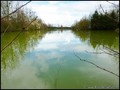etang a vendre vendee 85 loire atlantique 44 forêt bois domaine a vendre vente peche chasse nature propriete lac pays loire atlantique retz nantes pornic la baule la roche yon les sables olonne french property for sale real estate france west coast manor