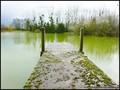 etang a vendre vendee 85 loire atlantique 44 forêt bois domaine a vendre vente peche chasse nature propriete lac pays loire atlantique retz nantes pornic la baule la roche yon les sables olonne french property for sale real estate france west coast manor