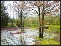 etang a vendre vendee 85 loire atlantique 44 forêt bois domaine a vendre vente peche chasse nature propriete lac pays loire atlantique retz nantes pornic la baule la roche yon les sables olonne french property for sale real estate france west coast manor