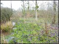 etang a vendre vendee 85 loire atlantique 44 forêt bois domaine a vendre vente peche chasse nature propriete lac pays loire atlantique retz nantes pornic la baule la roche yon les sables olonne french property for sale real estate france west coast manor