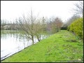 etang a vendre vendee 85 loire atlantique 44 forêt bois domaine a vendre vente peche chasse nature propriete lac pays loire atlantique retz nantes pornic la baule la roche yon les sables olonne french property for sale real estate france west coast manor